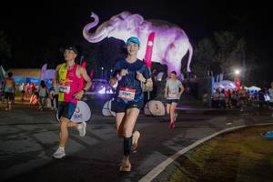 BIB: 
                            <button type="button" onclick="openModal(26552006)" class="btn btn-primary btn-sm float-right btn-popup" data-toggle="modal" data-target=".modal-high-quality">
                        <i class="fas fa-shopping-cart"></i> Add to Cart
                    </button>
                                            <button type="button" onclick="isThisMe(26552006, true)" class="btn btn-success btn-sm float-right btn-popup btn-isme hidden" data-toggle="tooltip" data-placement="bottom" title="นี่คือรูปของคุณใช่ไหม คลิกที่นี่เพื่อเอาเข้าอัลบั้ม">
                        <i class="fas fa-plus"></i> Add to album
                    </button>
                    <button type="button" onclick="isThisMe(26552006, false)" class="btn btn-warning btn-sm float-right btn-popup btn-isnotme hidden">
                        <i class="fas fa-ban"></i> Remove from album
                    </button>